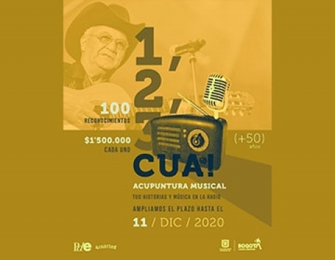 1, 2, 3, cua! Acupuntura musical, un reconocimiento a los músicos Bogotanos