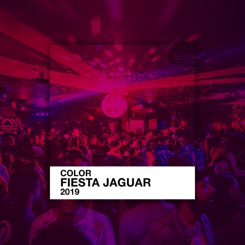 ¡Feliz cumpleaños¡ Disco Jaguar