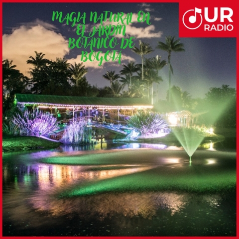 ¡El Jardín Botánico Regalará Experiencias Inolvidables Estas Navidades!